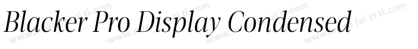 Blacker Pro Display Condensed Trial字体转换